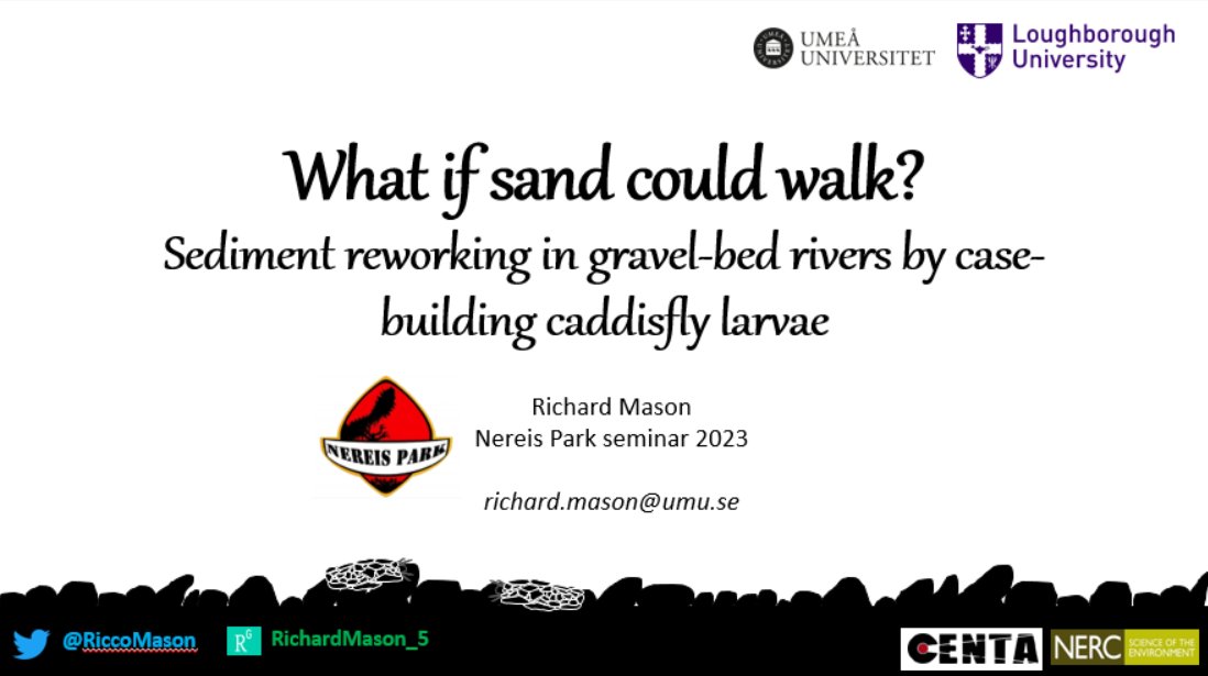 Richard Mason tweet media
