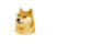 mprazor's tweet image. Twitter agr n tem mais passarinho virou DOGE? queeeeeee