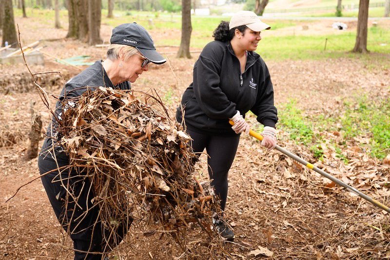 PresidentWente's tweet photo. Celebrating the 1-year anniversary of my inauguration by volunteering during @WFUAlumni’s #ProHumanitate Days! Our group worked to clear brush and overgrowth at the historic Odd Fellows African American Cemetery in Winston-Salem, N.C. https://t.co/2N5pnWaqbG