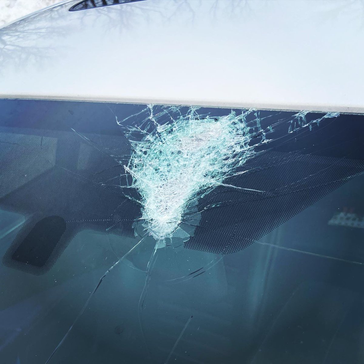 CandiceHague's tweet photo. Nothing quite starts the week like a chunk of concrete flying into your windshield on the highway during your Monday morning commute…

My luck never ceases to amaze me, but fear not, all is well! 🤣 https://t.co/m0J53j7MDy