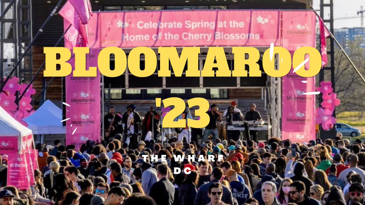 #Bloomaroo youtube.com/watch?v=N9TmL_… Music, activities and experiences. Dancing to live music on the Pier while sipping on special cherry blossom-themed drinks and cocktails <a href="/TheWharfDC/">The Wharf</a>