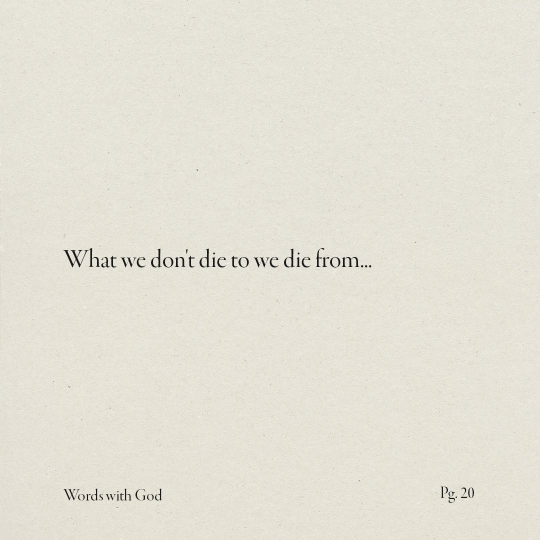 addisonbevere's tweet photo. Every day we have a choice. Will we choose to live in dependence upon the Father, or the illusion of self-sufficiency? P.S. I'm so excited for you to dive into my new book #WordsWithGod. Preorder at https://t.co/S80v0303Pk

#excerpts #prayerlife #itsyourchoice https://t.co/xJ0I5bvLiE