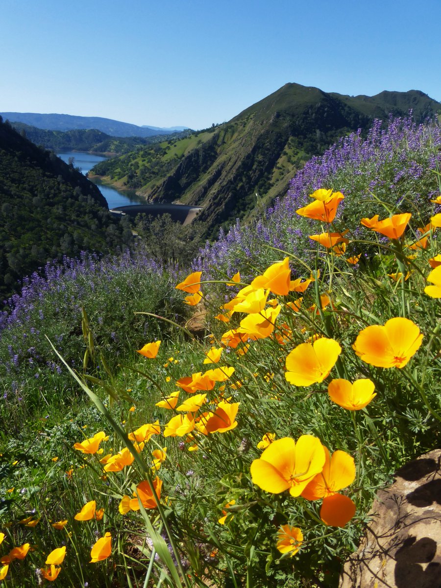 The Berryessa Snow Mountain National Monument includes some of the most scenic and biologically diverse landscapes in northern California. The views range from rolling, oak-studded hillsides to steep creek canyons and expansive ridgelines. 

Photo by Anthony Southwood