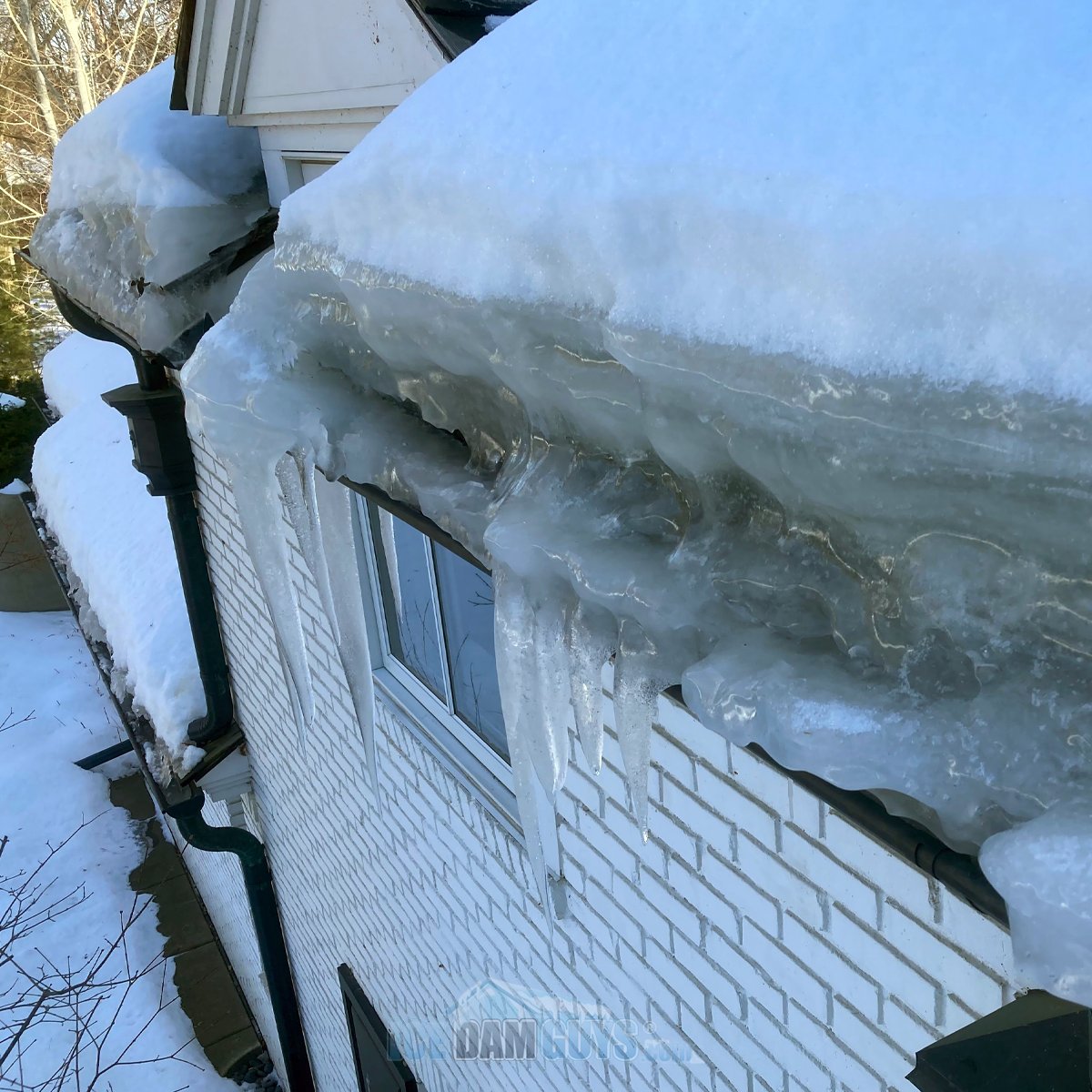 You want ice?! 🧊 You got it! Left untreated, the weight of this ice dam alone is asking for major roof problems. We've seem some doozies this year! #IceDamRemoval #IceDamDamage #WinterRoofing #FrozenGutters #RoofSnowRemoval #RoofLeaks #PreventIceDams