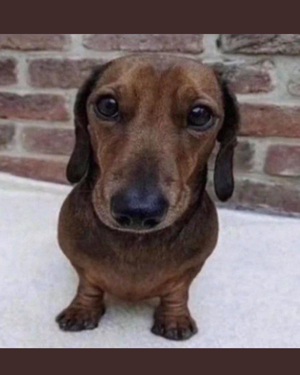 BlatoZardd tweet media