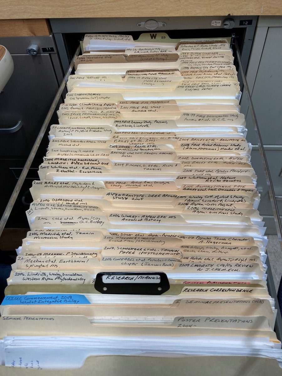 Continuing the office cleanout: research &amp; manuscript file drawer, 1995-2010. All that paper! Or, so little paper for so much work! <a href="/UWMadison/">UW–Madison</a> #retirement #chemicalecology #plantinsectinteractions #researchcollaboration
