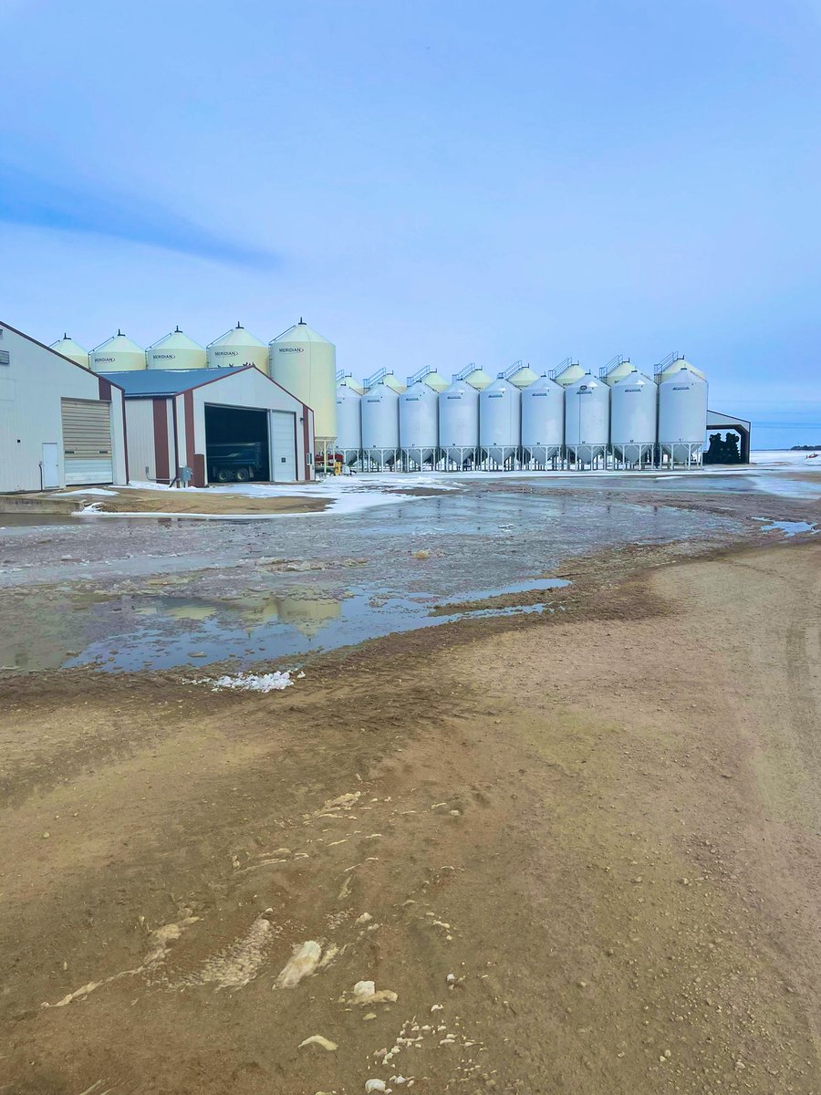 Rutherford Farms tweet media