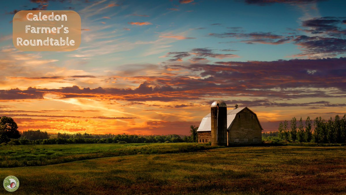 Mount Wolfe Farm tweet media