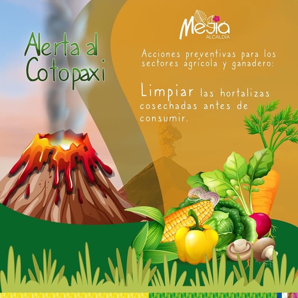 ¿𝐒𝐚𝐛𝐞𝐬 𝐪𝐮é 𝐦𝐞𝐝𝐢𝐝𝐚𝐬 𝐭𝐨𝐦𝐚𝐫 𝐞𝐧 𝐜𝐚𝐬𝐨 𝐝𝐞 𝐜𝐚í𝐝𝐚 𝐝𝐞 𝐜𝐞𝐧𝐢𝐳𝐚?🌋🔰

Aquí te mostramos una recomendación que puedes seguir para cuidar tus cultivos 🌾🧑‍🌾 ⤵️.

<a href="/alcaldiademejia/">Alcaldía de Mejía</a>