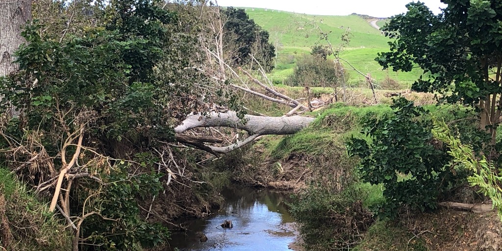 📰 Council unveils cyclone recovery measures 
The Northland Regional Council has revealed a suite of measures in response to Cyclone Gabrielle.
🔗 Read the full story here: bit.ly/3nJz10l