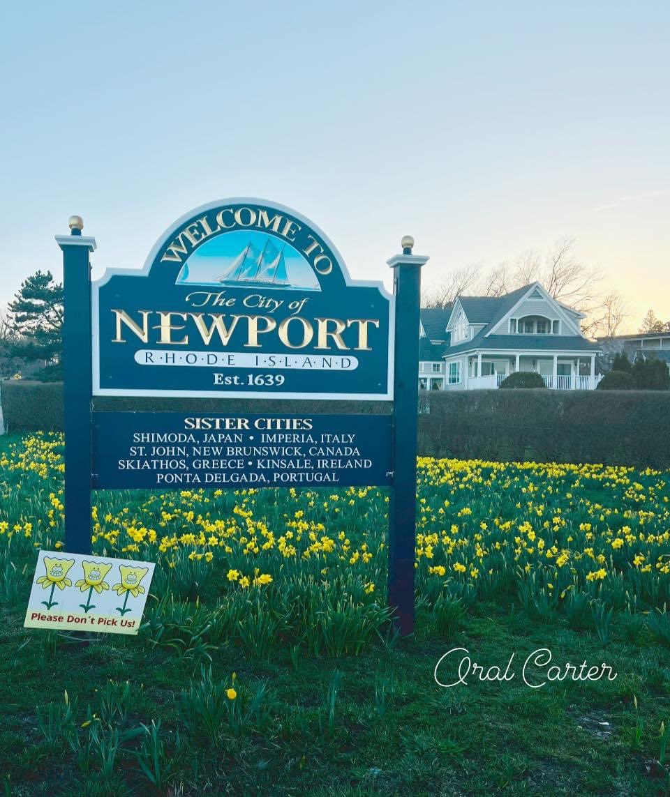 #DaffodilDays #RhodeIsland #NewportRI