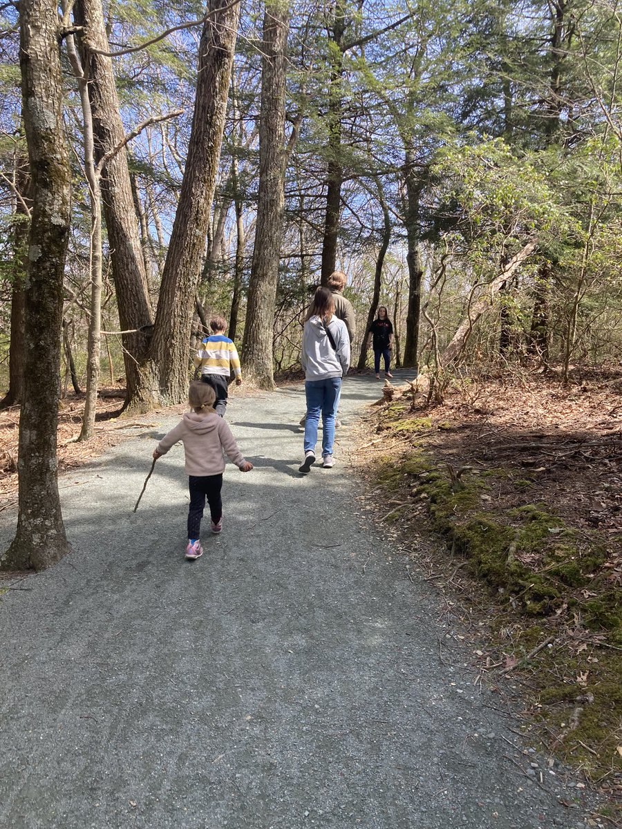 khjamieson's tweet image. Nice day for a hike on the #limberlost trail @ShenandoahNPS - it’s wheelchair friendly, very smooth, and accessible for folks with different mobility restrictions. Our youngest has an invisible disability of hypotonia and hyper flexible joints and this trail is great for her!
