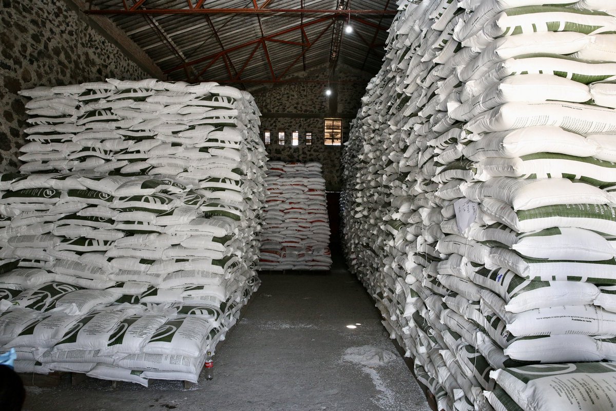 Gobierno de Michoacán tweet media