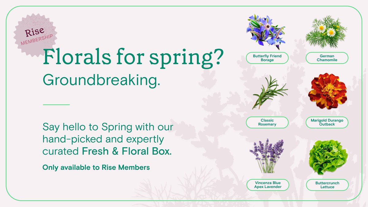 The Spring Member Box is here. 🌸 Access the Fresh &amp; Floral Box when you join Rise Membership. 

Get started here ➡️ risegardens.com/pages/become-a…

#gardening #flowers #gardeningtwitter