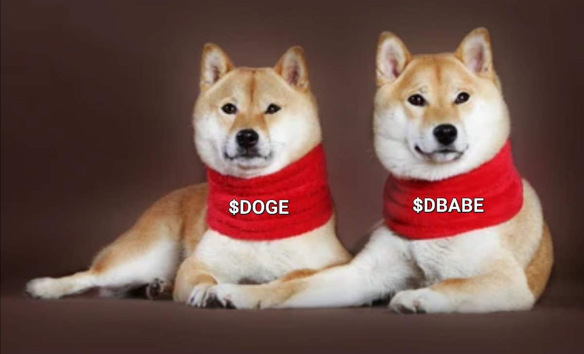 DOGE_BABE_'s tweet photo. @wbfty_crypto @DogecoinRide 💜 https://t.co/Fv2btNC6H0