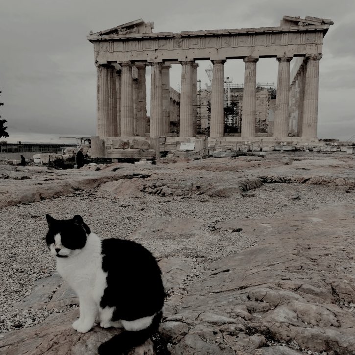 rvdyourmind's tweet image. ⠀  

              ۪ ↝ 𝓘𝗡𝗦𝗧𝗔𝗚𝗥𝗔𝗠 𝗣𝗢𝗦𝗧 .ᐟ
       hᥲᥴᥱ 5 mιᥒ १ ₍ @ 𝙡𝙖𝙧𝙖𝑘ℎ𝑎𝑙𝑖𝑑 ✩
                 
    “greece dump w/ some company”
 ☽ ⚲𝓵𝐨𝐜: 𝘨reece. 🏷️: @headinthclovds 

                ⌂          ⌕          ⊞          ♡
⠀