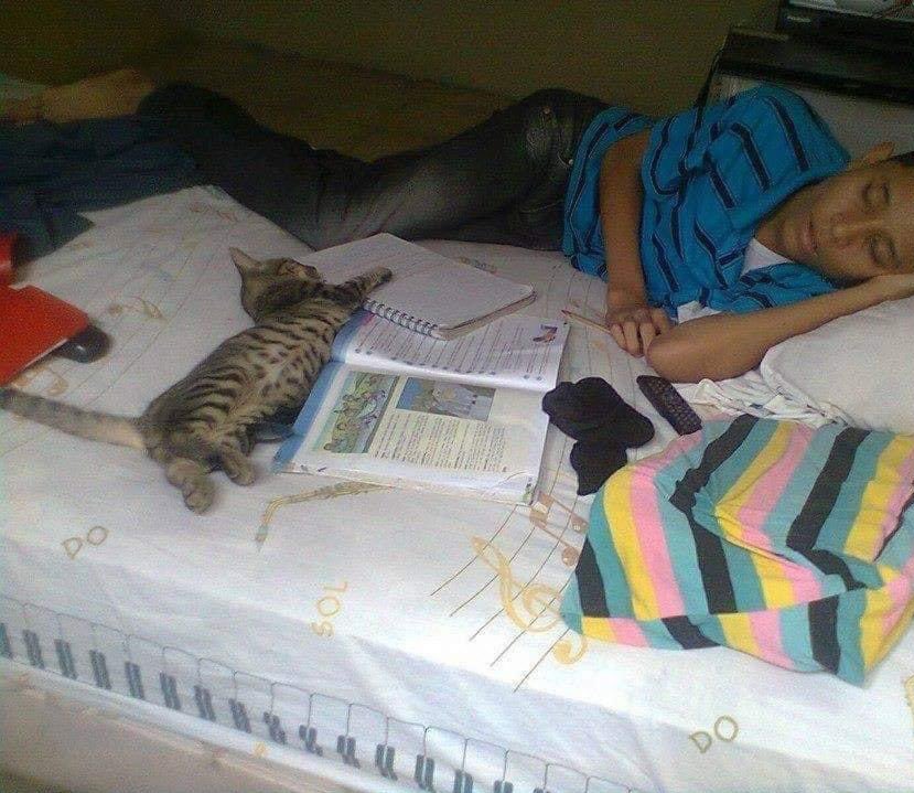 estudiando en la cama