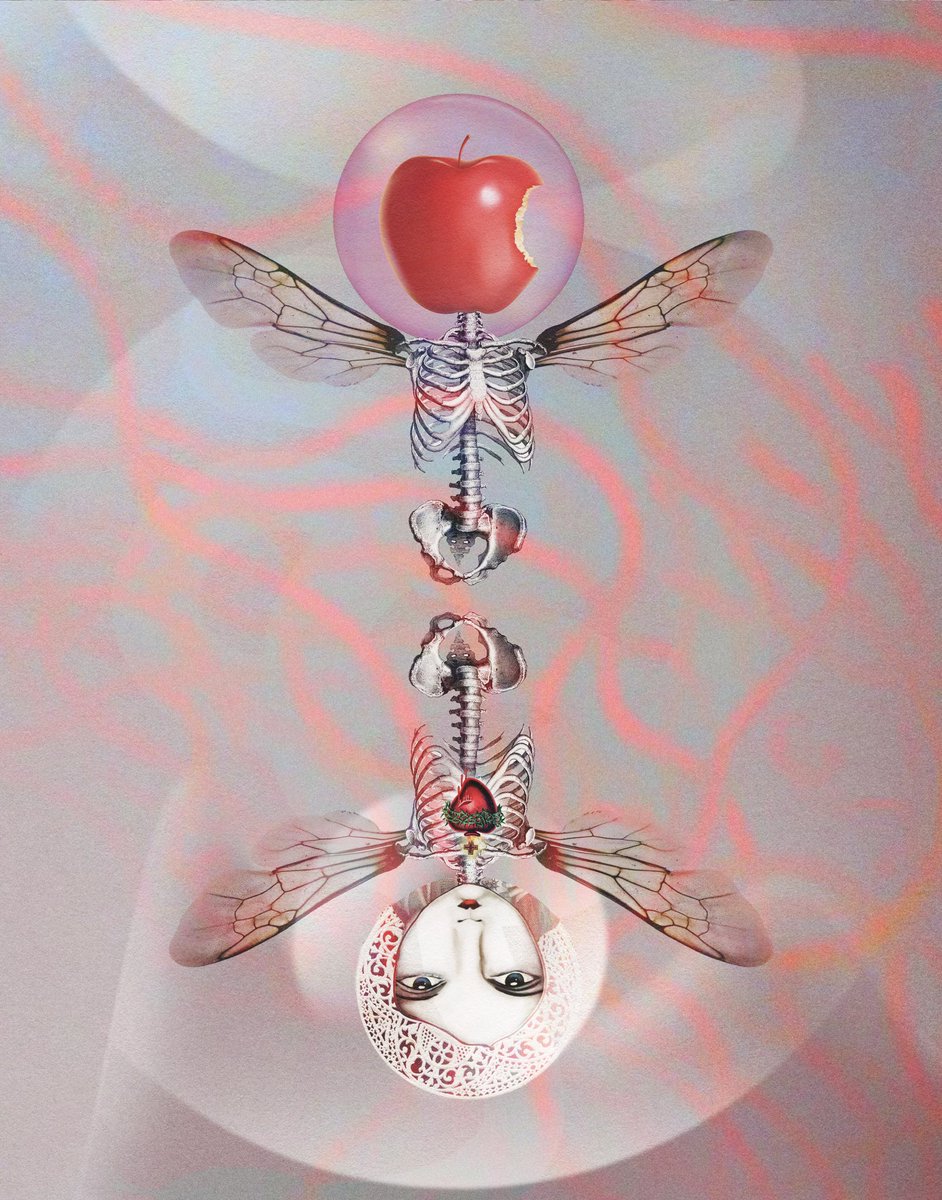 gogogee_'s tweet image. 🩸🪡 🌀🪡 🫀 

1. @synchrodogs 
2. @gogogee_ 

#nftcuration #heART