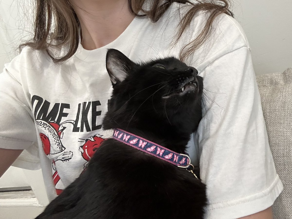 robertoupdates's tweet photo. cuddling; yearning https://t.co/jtrjdAPPAs