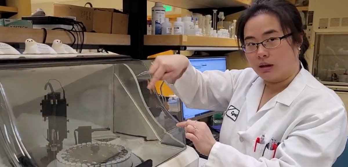 Manny Teodoro tweet media