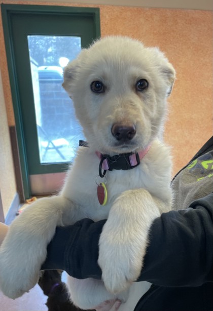 The NOAH Center tweet media