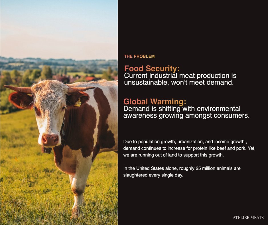 As the world's population continues to skyrocket, we're facing unprecedented challenges when it comes to feeding everyone sustainably. 

The threat of food shortages is becoming all too real, and climate change is exacerbating the problem at an alarming rate. The lack of