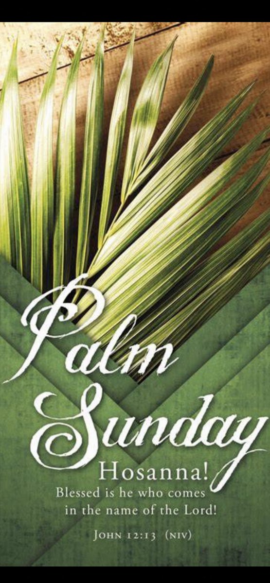 rfif_inc's tweet photo. JESUS TRIUMPHANT ENTRY, Into Jerusalem ,  
Palm Sunday 
On The Road To The Cross on a donkey, as multitudes welcome him w/ Palm Branches. 

Saying,#Hosanna! ‘Blessed is He who comes in the name of the Lord’ 
The King of Israel
John 12:12–13  + The word, ‘hosanna’ means ‘save now’ https://t.co/1fweBSf4BO