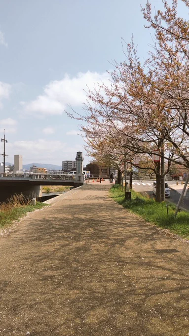 できることなら終わらない春と散らない桜のが咲くこの道を二人には歩き続けてほしかった…… 