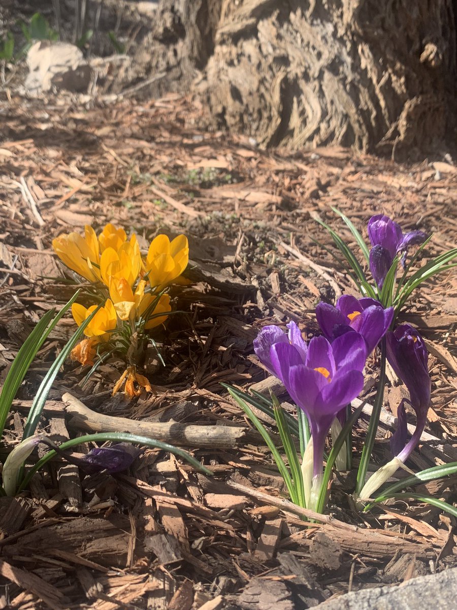 voidpeeper's tweet image. 