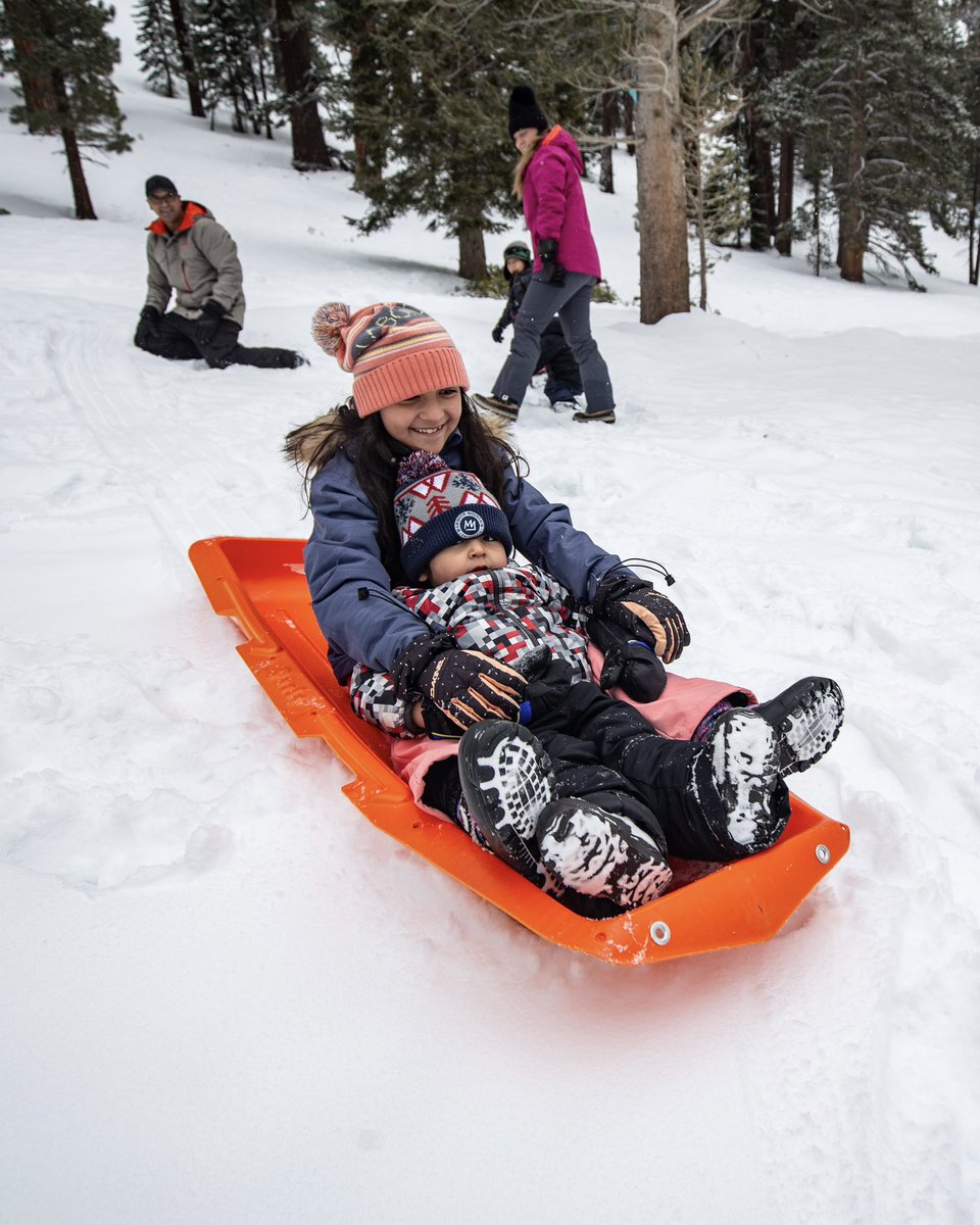 Mammoth Lakes Tourism, California tweet media