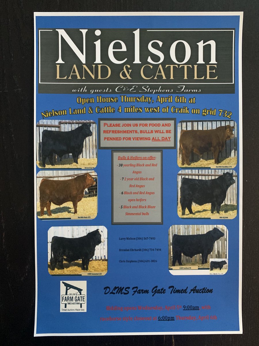 Be sure to join us this Thursday, April 6th for the open house at Nielson Land &amp; Cattle, 4 miles west of Craik, SK. Come take a look at the sale offering and grab a bite to eat and some refreshments. #simmental #angus #bulls #heifers