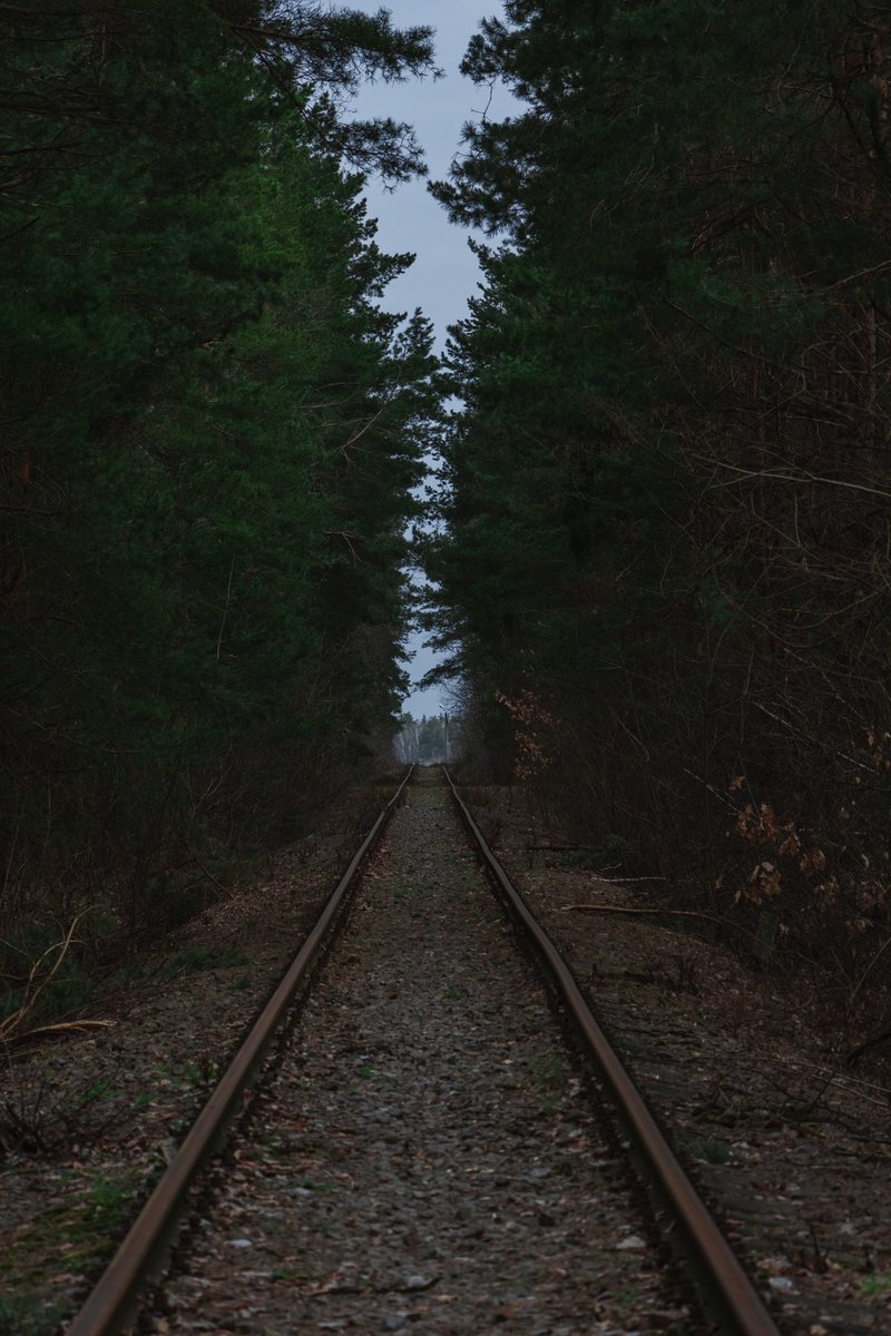 lunar_ASha's tweet photo. Десь вдома…
#українафото #фотоукраїна #pictureua #ліс #forest #railway #залізниця #природа #природаукраїни #nature #photo #naturephography #wildforest #springforest #веснянийліс https://t.co/7UfeiaifDB
