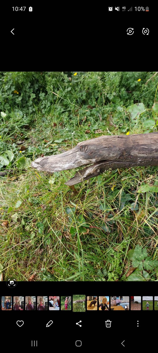 Diarmuid Cosgrove tweet media