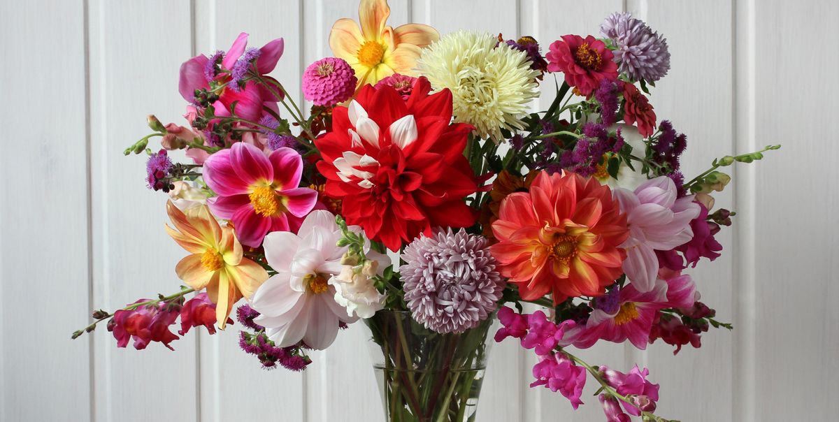 هدايا، تنسيقات ورود، تنظيم حفلات الدوار الرابع، بجانب مستشفى الاردن، مجمع زينة التجاري يتوفر خدمة التوصيل لجميع المحافظات 0793331999