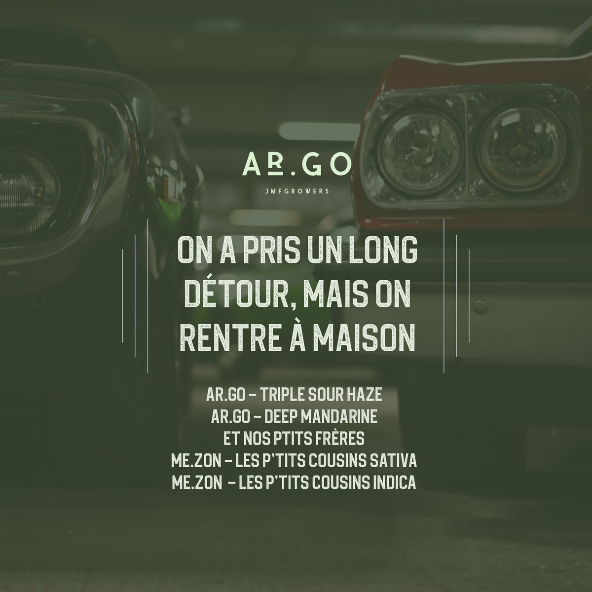 Notre ptit cousin Indica fera son entrée à la maison cette semaine!
**************************************************************
Our little cousin is coming home this week!