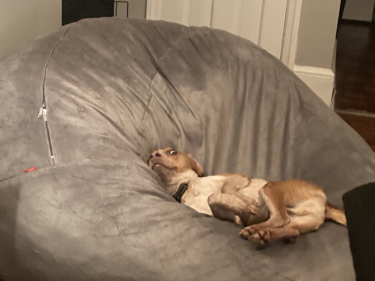 Cecilia Cicone 🚀 tweet media