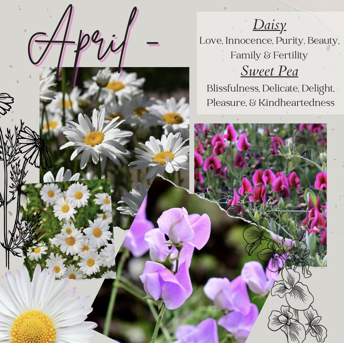 John and Bob's Smart Soil Solutions tweet media