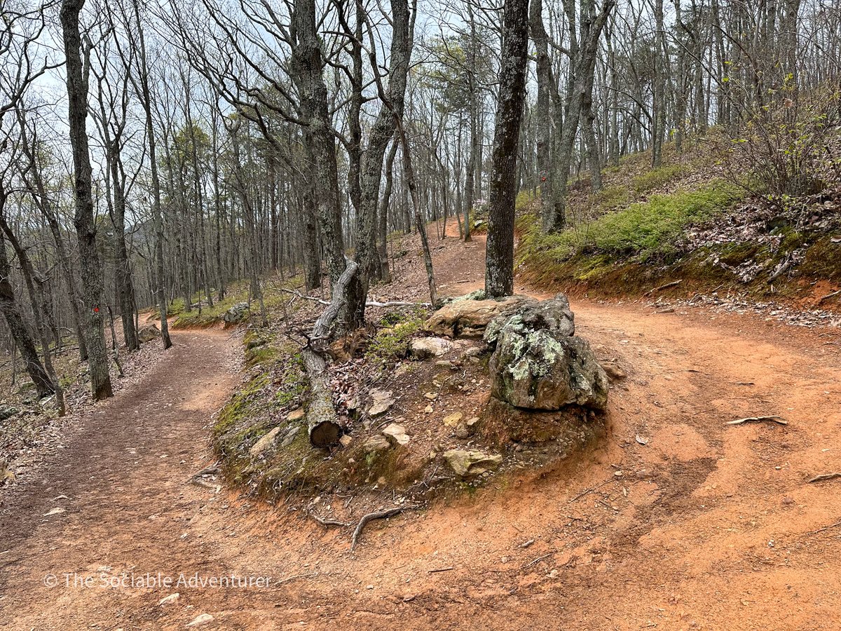 TheSociableAdv's tweet photo. Crowders Mountain State Park features a wide variety of trails that provide amazing views of the Park.
@VisitNC @discoverncsc @ourstatemag @gogastonnc @GastonCountyGov @CrowdersMt @NCparks
#KingsMountainNC #GastonCountyNC #VisitNC #NC #NorthCarolina #NCParksandRec https://t.co/YToFD6mIjK