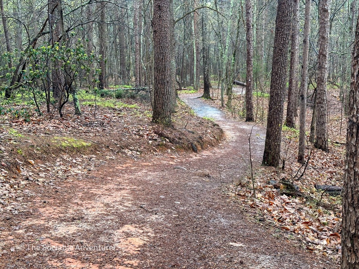 TheSociableAdv's tweet photo. Crowders Mountain State Park features a wide variety of trails that provide amazing views of the Park.
@VisitNC @discoverncsc @ourstatemag @gogastonnc @GastonCountyGov @CrowdersMt @NCparks
#KingsMountainNC #GastonCountyNC #VisitNC #NC #NorthCarolina #NCParksandRec https://t.co/YToFD6mIjK