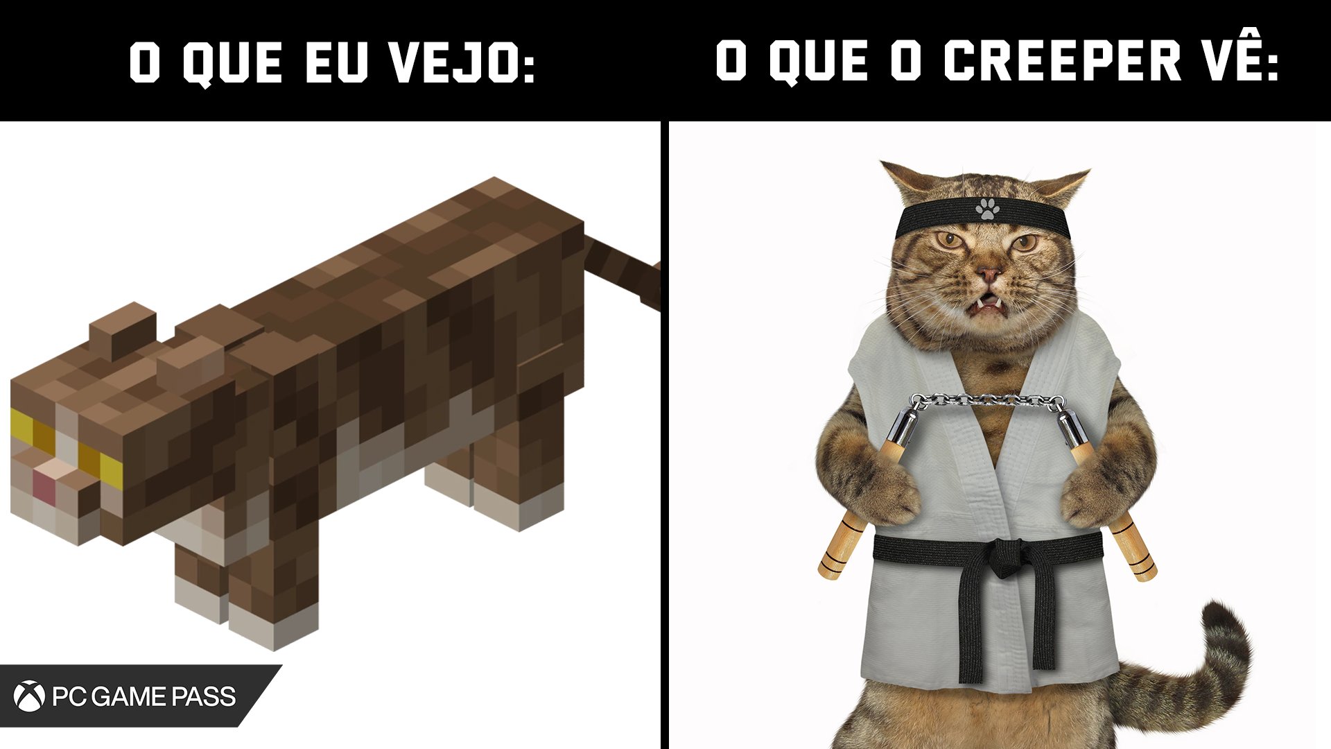 Jogador do Minecraft é surpreendido por um gato enorme ao carregar um velho  mundo