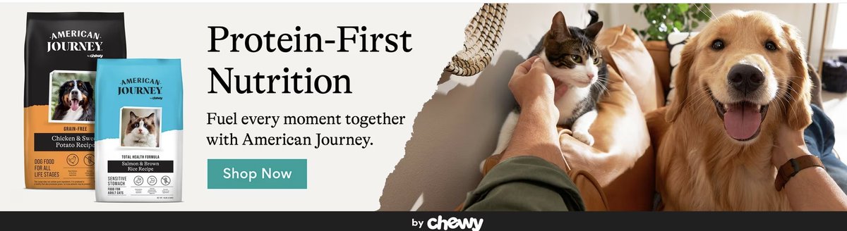 8119Marketing's tweet photo. Want your pets to have protein filled food? Check out the link here from Chewy --> https://t.co/57bxmWstYo Nothing but the best for your pet! #chewy #pet #petfood #Cat  #dog #CatsOfTwitter  #dogsoftwitter  @Chewy https://t.co/bJuUowpvmE
