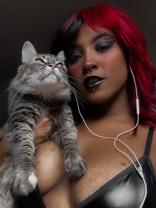 Lala 🦇 - Com licença será que você tem 5 minutos pra ouvir a palavra de duas gatas? 🖤✨ https://t.co/uhuq9FZIN1
