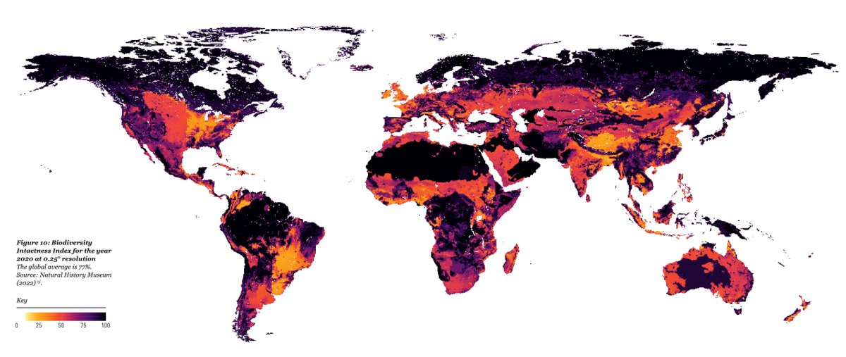 Alex Gladstein 🌋 ⚡ tweet media