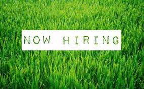 LMT Landscaping LTD. tweet media