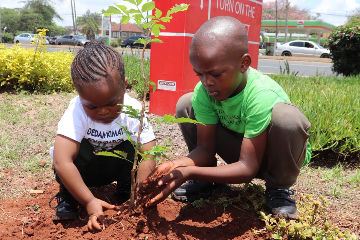 Karasinga3's tweet photo. The planting of a tree is a modest form of immortality and one of the few truly long-term expressions of hope to mortal human beings.
@evakimathi @MuriraKinoti
@JohnKim79573152 @philomenmalonzi @SharleenWambui9 @WilliamsRuto @Ma3Route #Treeforhope #Treeforwater https://t.co/GtyLj6v2uT