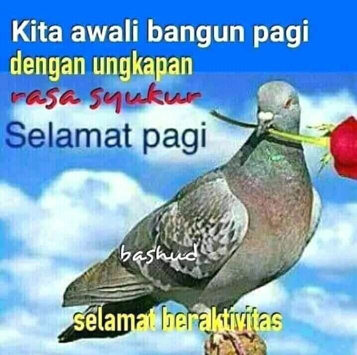 kaniyak tweet media
