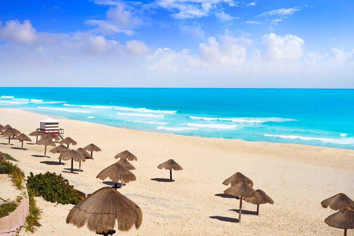 elviajerocasual's tweet photo. 🌊🐚 Explora las playas vírgenes de México, donde la naturaleza y la cultura se entrelazan en un ambiente mágico. 🇲🇽🌺 Sumérgete en el azul profundo del mar y descubre tesoros ocultos en cada rincón. 🏊‍♀️🌴 #OrgulloMexico #PlayasMexico #MexicoPadre

https://t.co/UtaHNeurZp https://t.co/rlPlNH39iE
