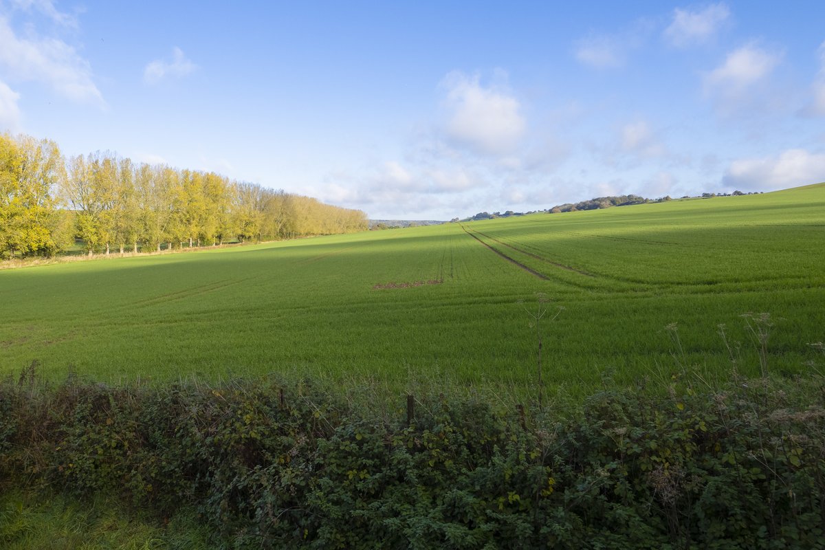 Check out this bedroom property on the market at a of £425,000

laingbennett.co.uk/property-detai…
