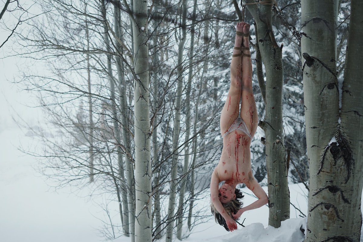 kitten got caught in a bear trap…