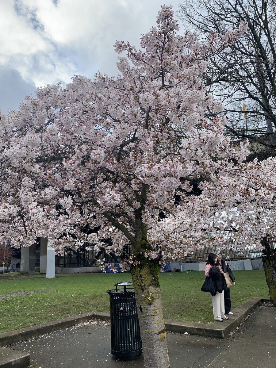 ZacNarrates's tweet photo. From this week's adventures in Portland! https://t.co/ywJ9CShcfd